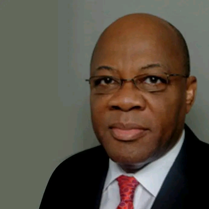Agbakoba, Falana, Others Push Electoral Overhaul Ahead of INEC Succession