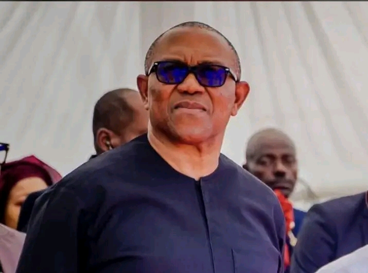 Peter Obi Prioritises Consultation, Equity Before any Political Realignment