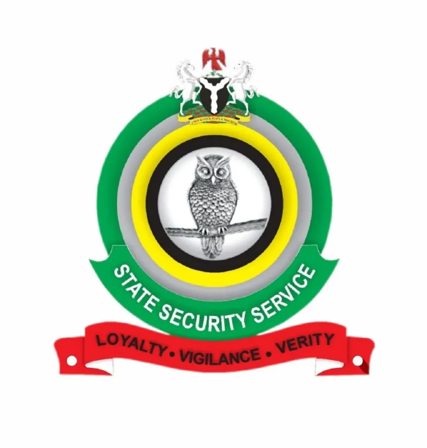 Cybercrime:DSS arrests Kaduna activist Sultan