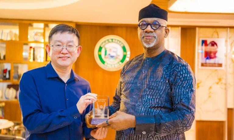 Chinese Firm to Establish Power Plant, Industrial Park in Ogun